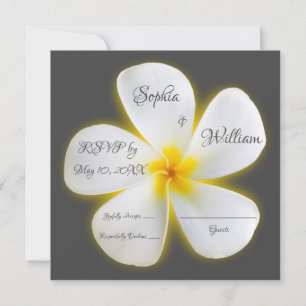 Modern Square White Plumeria Flower, RSVP Invitation