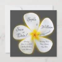 Modern Square White Plumeria Flower, Save the Date