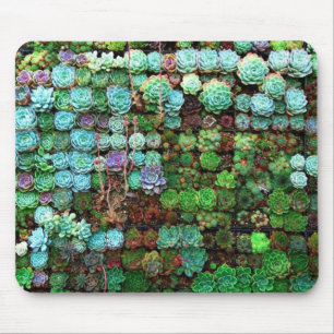 Modern Succulent Collection Green Botanical Mouse Pad