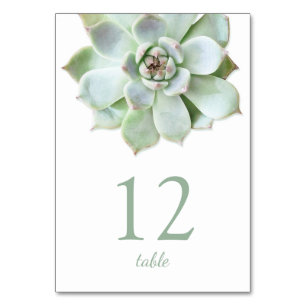 Modern Succulent Wedding Table Number