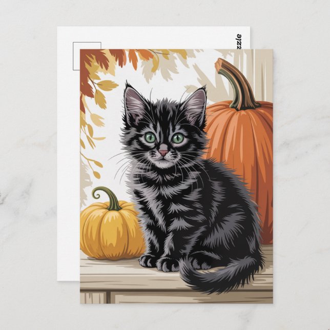 Modern Trendy Halloween Pumpkins and Black Cat  Postcard (Front/Back)
