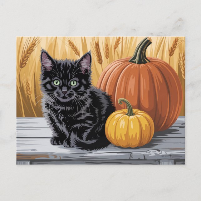 Modern Trendy Halloween Pumpkins and Black Cat  Postcard (Front)