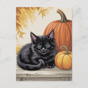 Modern Trendy Halloween Pumpkins and Black Cat  Postcard