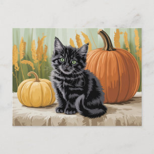 Modern Trendy Halloween Pumpkins and Black Cat  Postcard