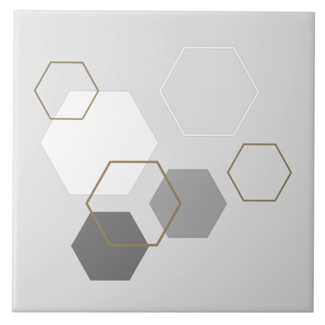 Modern trendy minimalist geometric abstract grey ceramic tile (Front)