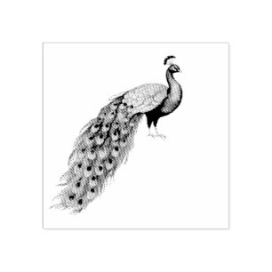 Modern Trendy Peacock Rubber Stamp