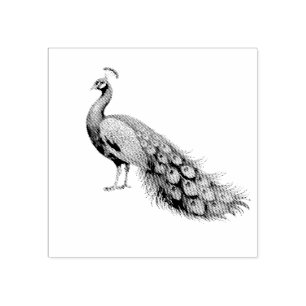 Modern Trendy Peacock Rubber Stamp