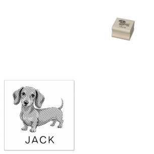 Modern Trendy Personalized Dachshund  Rubber Stamp