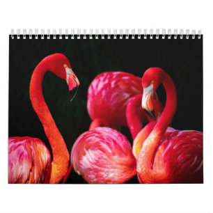 Modern Tropical Pink Flamingo Calendar