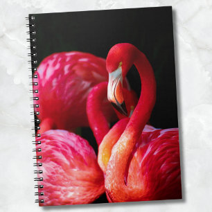 Modern Tropical Pink Flamingo Notebook