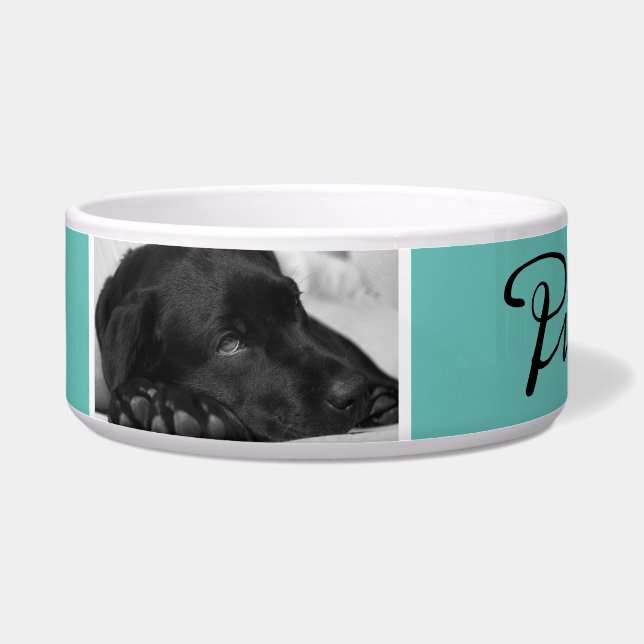 Modern Turquoise Dog Name in Black Script 2 Photo (Left)