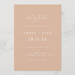 Modern Tying the Knot Wedding Blush Pink Script Invitation