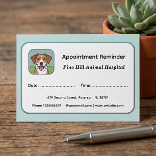Modern Veterinarian Appointment Reminder Cards