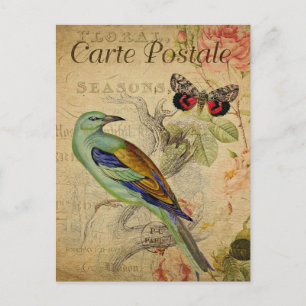 Modern Vintage Bird Floral collage art  Postcard