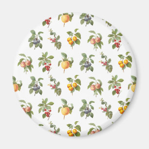 modern vintage botanical fruits magnet
