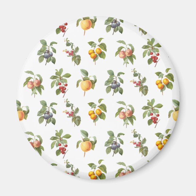 modern vintage botanical fruits magnet (Front)