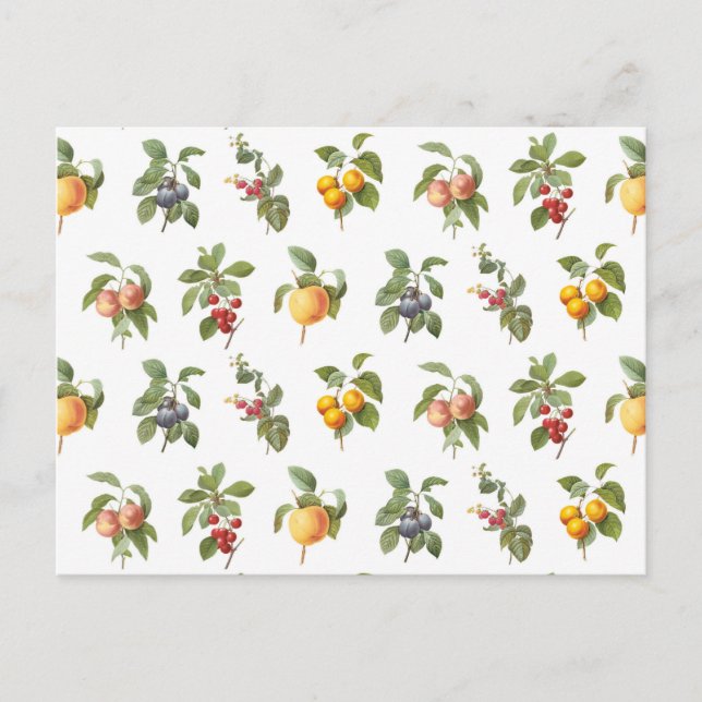 modern vintage botanical fruits postcard (Front)