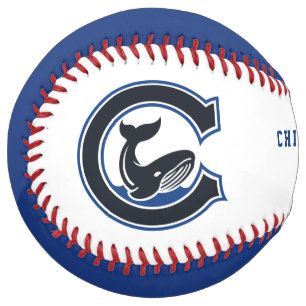 Modern Vintage Chicago Whales Tribute Softball
