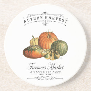 modern vintage fall gourds and pumpkin coaster