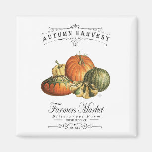 modern vintage fall gourds and pumpkin magnet