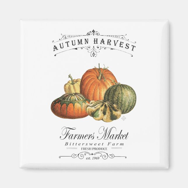 modern vintage fall gourds and pumpkin magnet (Front)