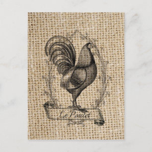 Modern vintage Farm Chicken french country rooster Postcard
