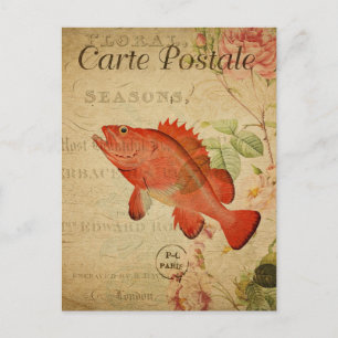 Modern Vintage Fish collage art  Postcard