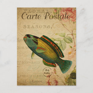 Modern Vintage Fish collage art Postcard