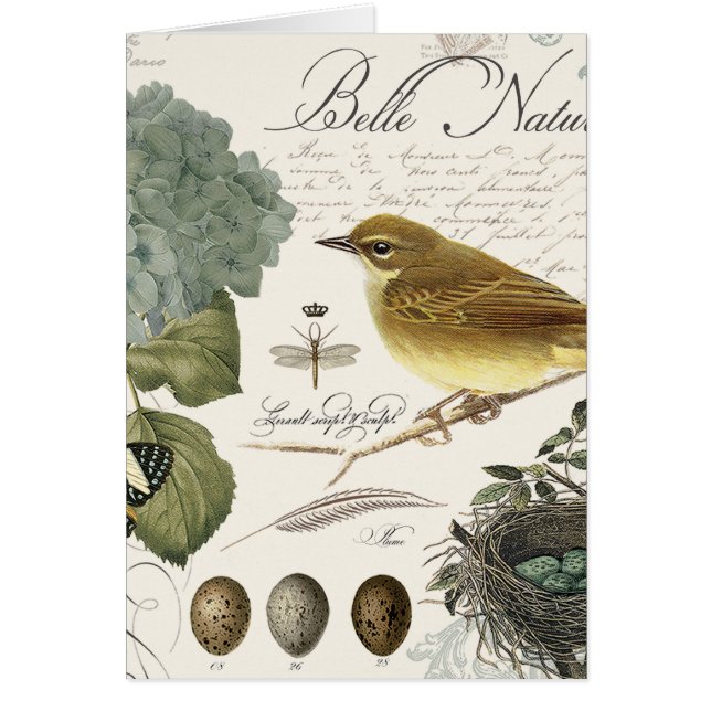 modern vintage French bird and nest (Front)