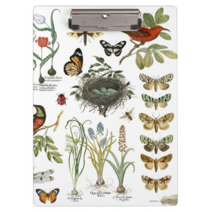 modern vintage french botanical birds and flowers clipboard