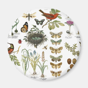 modern vintage french botanical birds and flowers magnet