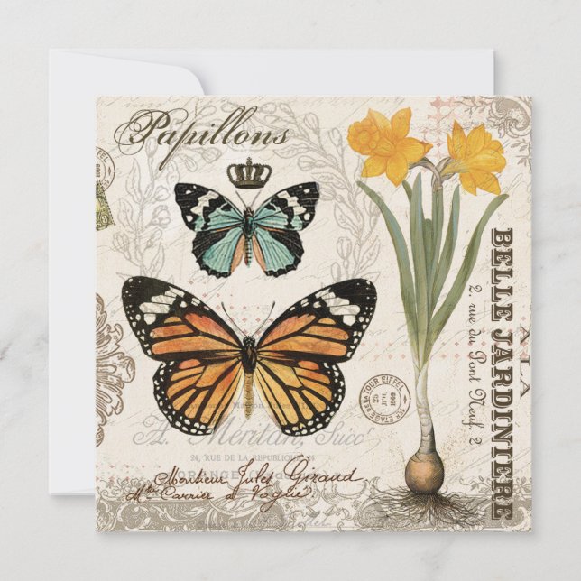 Modern vintage french butterflies (Front)