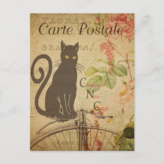 Modern Vintage French Cat collage Postcard (Front)