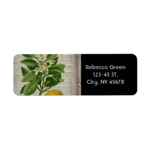 modern vintage french country botanical art orange return address label