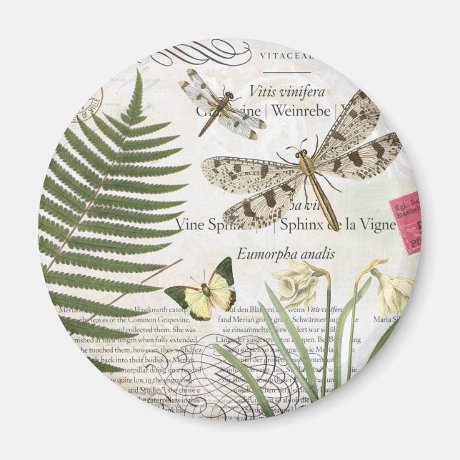 modern vintage french dragonfly magnet (Front)