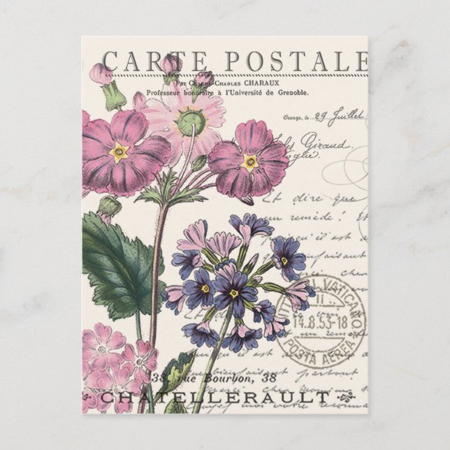 modern vintage french floral postcard (Front)