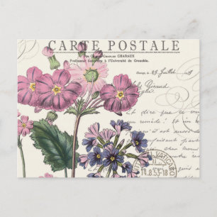 modern vintage french lavender floral postcard