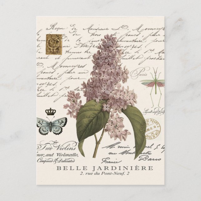 modern vintage French Lilacs Postcard (Front)