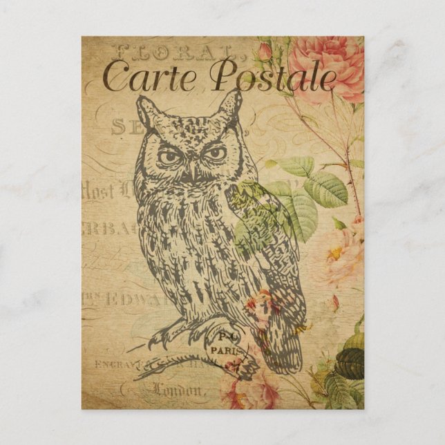 Modern Vintage French Owl collage Postcard (Front)