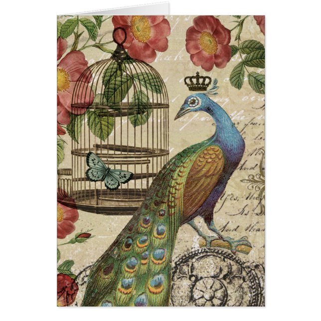 modern vintage french peacock (Front)