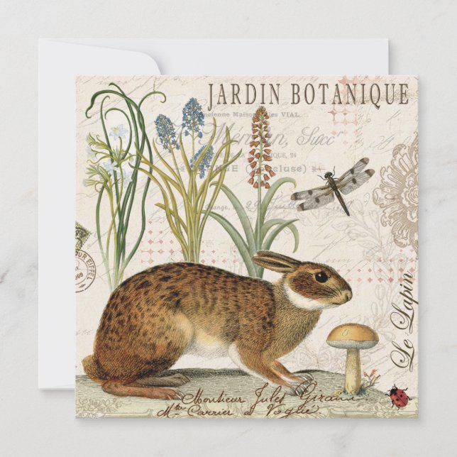 modern vintage french rabbit in the garden (Front)