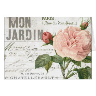 modern vintage french rose postcard