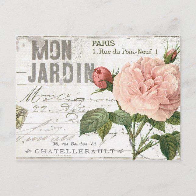 modern vintage french rose postcard (Front)