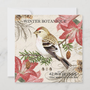 modern vintage french winter bird