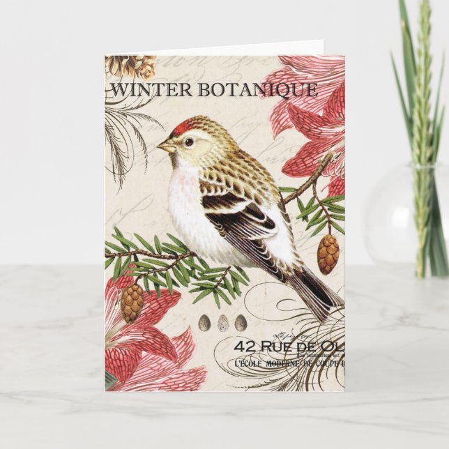modern vintage french winter bird holiday card (Front)
