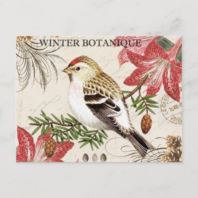 modern vintage french winter bird postcard (Front)