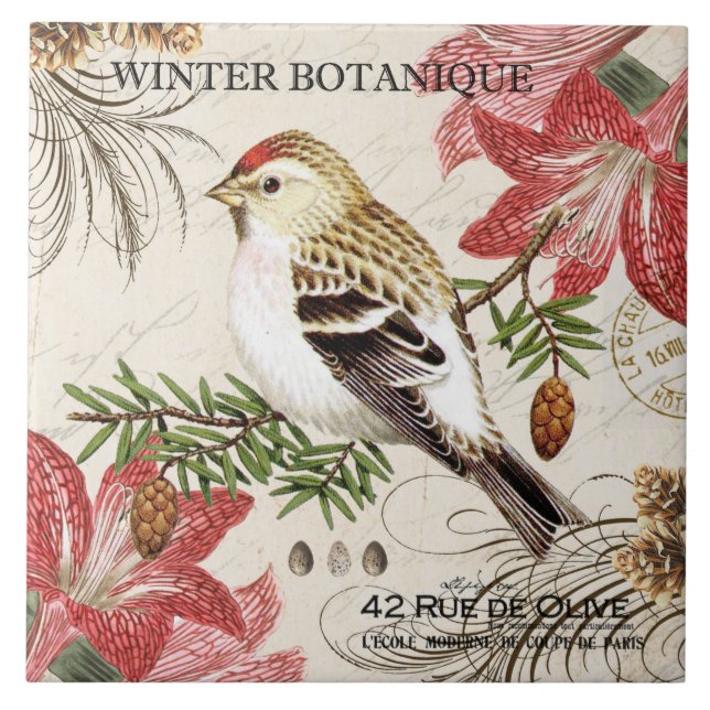 modern vintage french winter bird tile (Front)