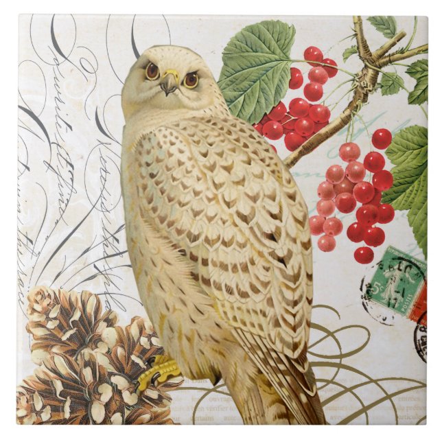 modern vintage french winter owl tile (Front)