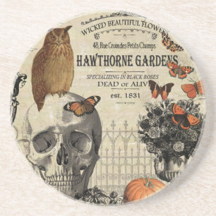 Modern vintage Halloween owl and skull Coaster