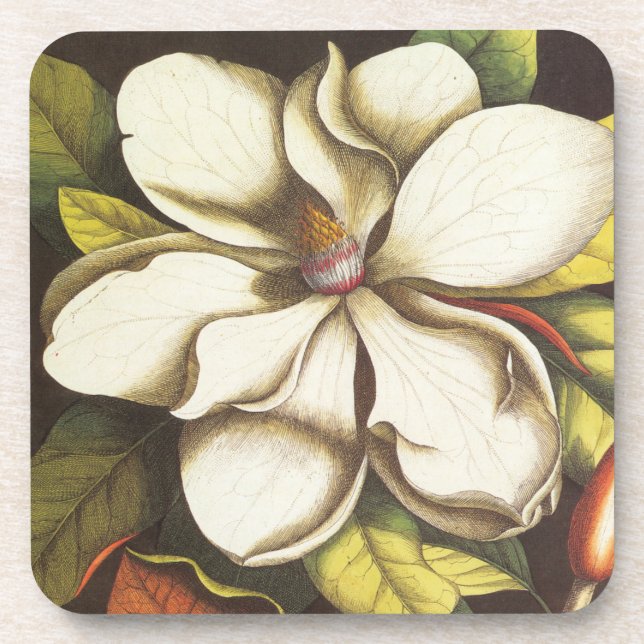 modern vintage magnolia coaster (Front)